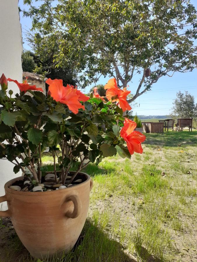 ***** Quinta Do Por Do Sol ***** Lägenhet Figueira da Foz Exteriör bild